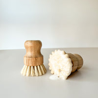 Natural Dish Brush